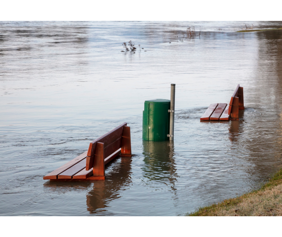 Flood insurance in warren mi - flooded park