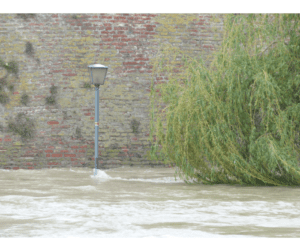 Buy dearborn mi flood insurance - flooded area