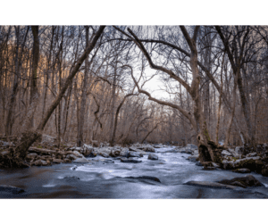 Buy flint mi flood insurance - running river