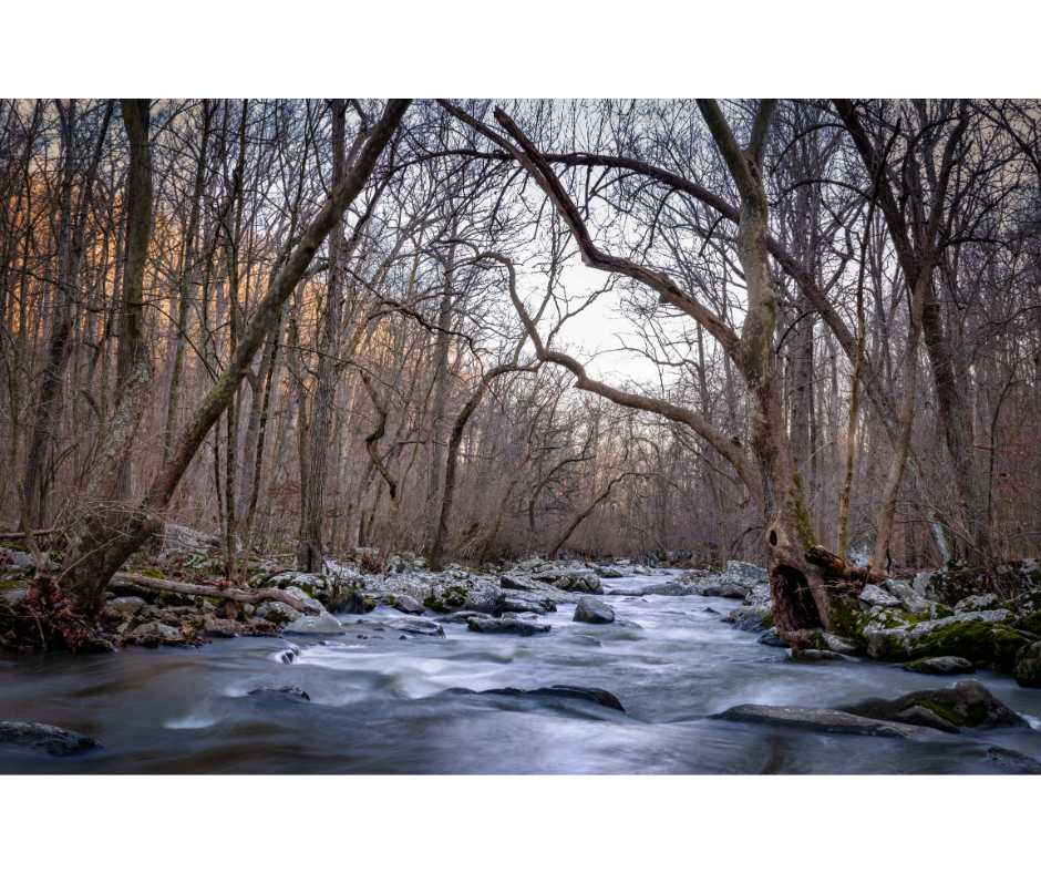 Buy flint mi flood insurance - running river