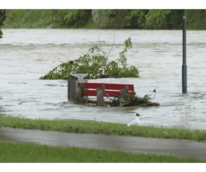 flood insurance in macomb county mi - flooded park bench