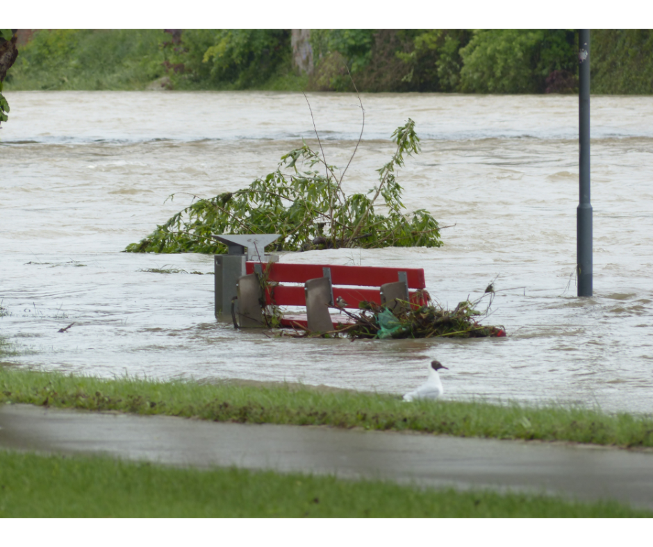 flood insurance in macomb county mi - flooded park bench